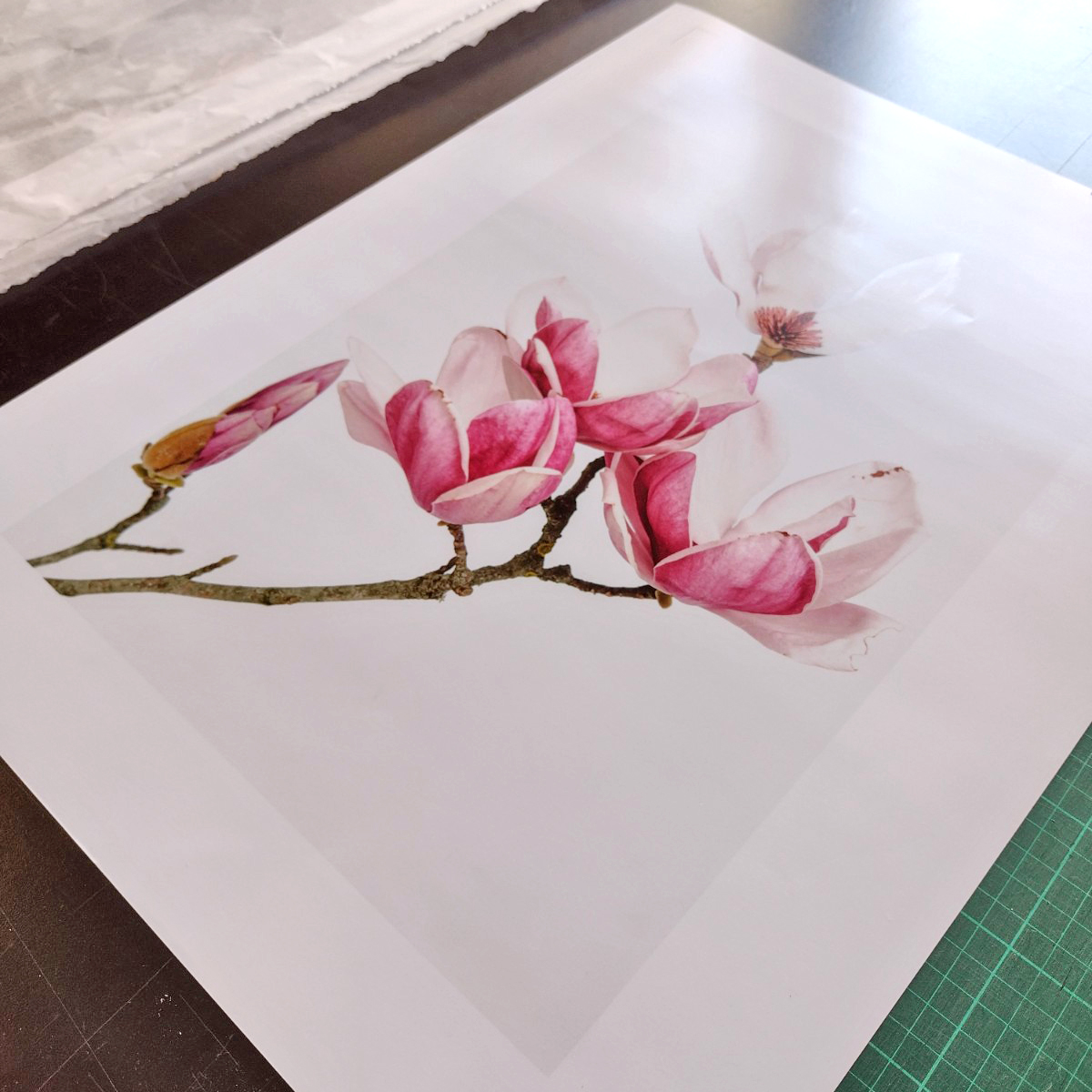 sakura-print