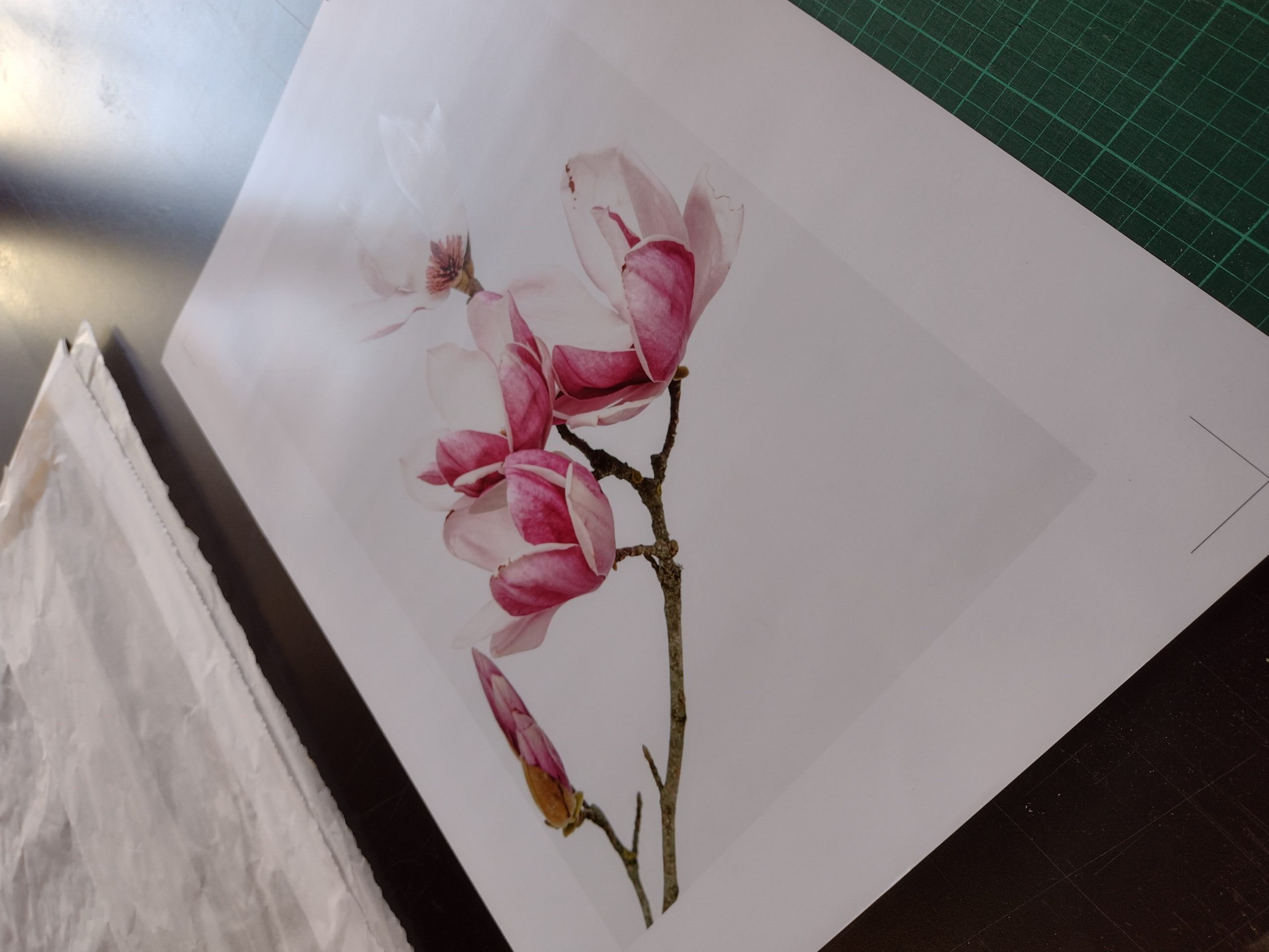 Imaging Photosatin